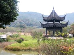 -龙寺生态园