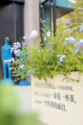 -Dr.U博士医疗美容医院