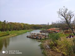 -上海长兴岛郊野公园