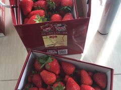 -心乐生活新鲜屋(星海广场店)