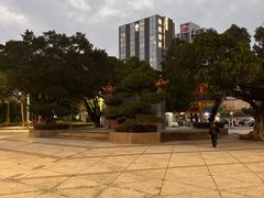 -金砂公园