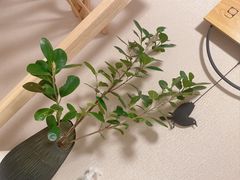 -修申骨雕小颜脊柱骨盆管理产后修复
