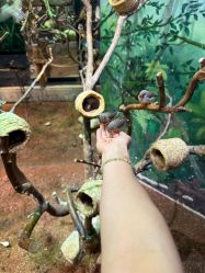 -Zoolung Zoolung动物主题公园(海信广场店)