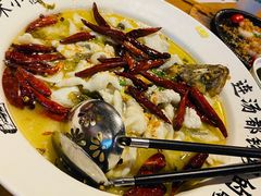 招牌酸菜鲈鱼-宋小谨(惠安禹洲店)