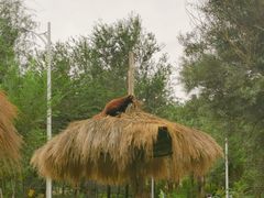 -水上乐园·欢乐世界