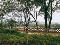 -紫金山山顶公园