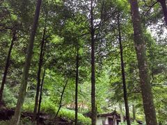 -青城山