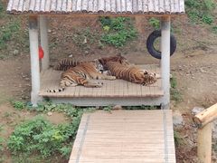 -石家庄市动物园