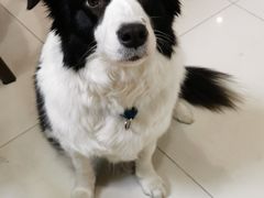 -上海潜殿潜水中心