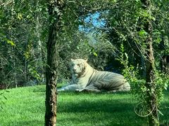 -北京野生动物园