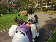 -秦皇岛阿尔卡迪亚滨海度假酒店