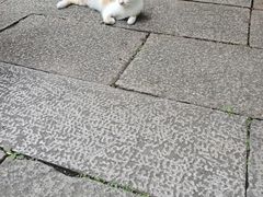 -西园戒幢律寺