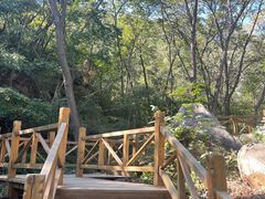 -大岭沟猕猴桃谷风景区
