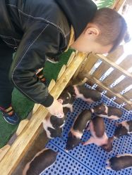 -萌宠亲子动物乐园(槐房万达店)