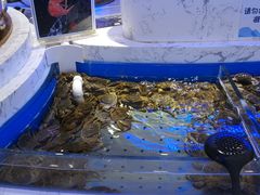 -澜悦港海鲜体验主题餐厅