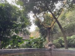 -融汇温泉