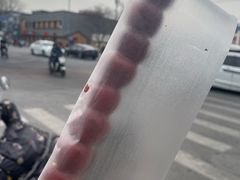 -和禄德冰糖葫芦