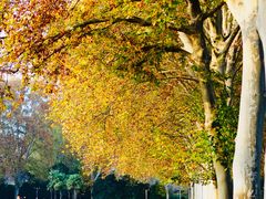 -河南省黄河迎宾馆