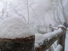 -少华山国家森林公园