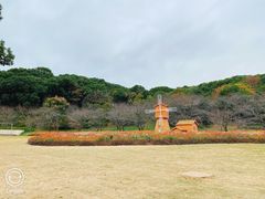 -苏州上方山国家森林公园