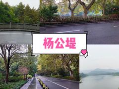 -西湖游船