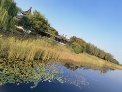 -苏州太湖湖滨国家湿地公园