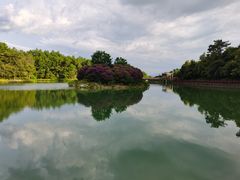 -广州白江湖森林公园