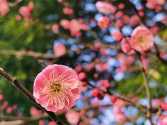 -钱塘江