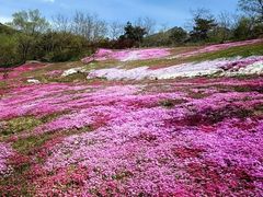 -昆嵛山石门里景区