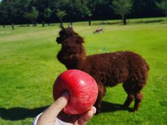-雅鲁激流探险漂流