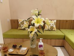 -隐逸SPA