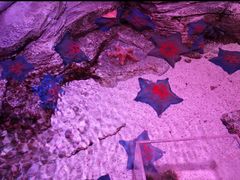 -沈阳海洋探索中心