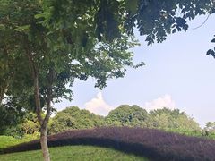 -风云岭森林公园