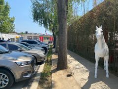-向外鱼乐·土菜·虹鳟鱼