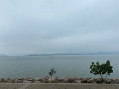-深圳湾公园(南山区)