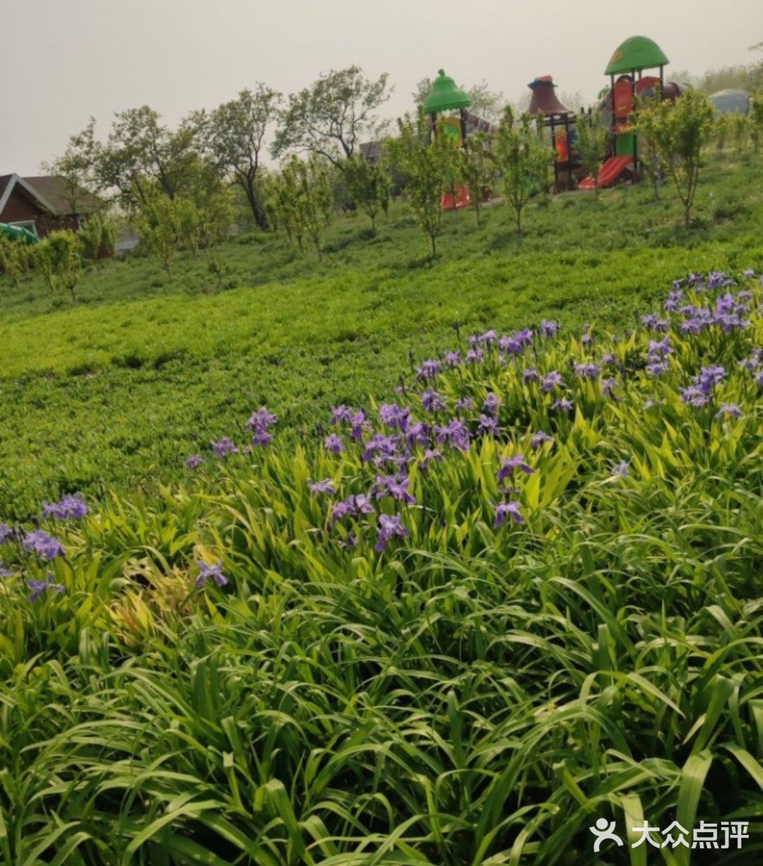 绿野仙踪，放电新去处～