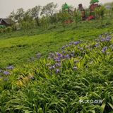 绿野仙踪，放电新去处～