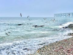 -银沙滩浴场