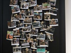 -光舍(香榭里花园店)