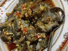 活海参-万宝海鲜舫(劳动公园店)