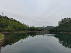 -大雁山风景区