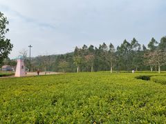 -清远熹乐谷温泉度假酒店