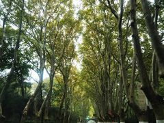 -紫金山天文台