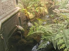 -宝光寺