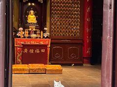 -灵谷景区