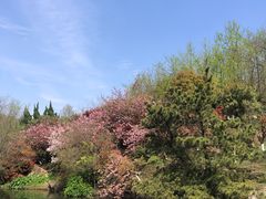 -白马涧龙池景区