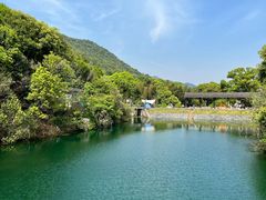 -龙坞茶村