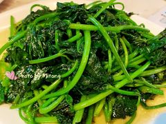 清炒山芋藤-佰家小厨·南京菜(夫子庙店)