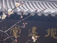 -钱王祠