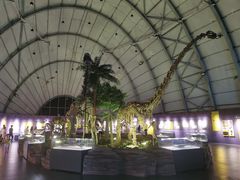 -辽宁古生物博物馆